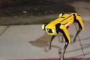 海外「ロボット犬がご近所を散歩してるんだが・・・」←凄く気味が悪くてワロタ　海外の反応