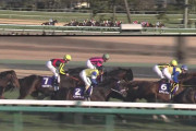 何も見ずに二冠牝馬を5頭以上言えたら競馬通
