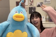 【日向坂46】ポカの公式持ち、4期生へ継承。