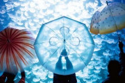 梅雨の時期だしお洒落な傘欲しい！ クラゲ水族館監修の「リアルすぎるクラゲ傘」に注目