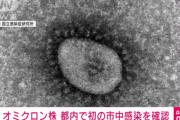 東京 オミクロン 市中感染 確定