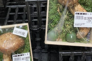 外国人「日本には1万円以上で売られるキノコがあるらしいぞ…」