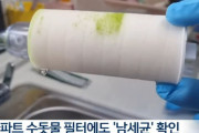 韓国の水道水からアオコ出てくる