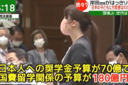 【動画】自民･小野田紀美「日本人への奨学金予算が70億、国費留学関係予算が180億円」