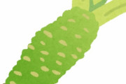 ( •̀ɷ•́ )今日はわさびについて教えます