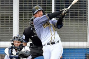 【阪神】陽川が４安打、北條は２打数２安打！定位置争いアピール！