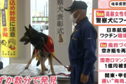 【お手柄】 警察犬アンジー、行方不明の女性を3分で見つける