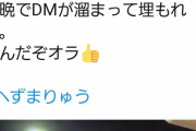【悲報】へずまりゅうさん、飯塚幸三に凸ろうとしていたｗｗｗｗｗｗｗｗ