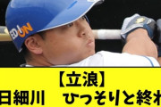 【悲報】中日細川、ひっそりと終わる