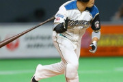 日ハム近藤って打率3割いけると思う？
