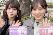 【動画】ブレない絆・・・今回の『乃木坂ぶらり』コンビ、良すぎる