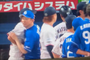 高津vs片岡　仲裁する立浪
