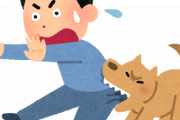 動物咬傷は超こわいのしってる？これは整形外科医には常識。