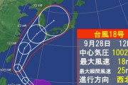 台風で打線組んだwywywywywywywy