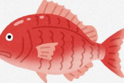 ワイ北陸民、“鯛”が人気のない魚だと知って驚愕