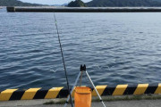 東北で海釣り