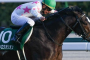 【真面目に乗れば上手いｗ】横山典弘騎手　新年初勝利をシンザン記念で飾る！