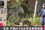 大阪の不明女児、栃木で保護　男の身柄拘束　男は別の女児も監禁　★3