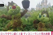 【悲報】ロックダウン続く上海でディズニーランドが荒れ放題自然に還っていってる模様