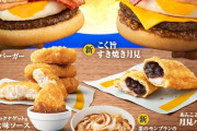 【朗報】 マックのすき焼き月見バーガー、ガチでうまいｗｗｗｗ