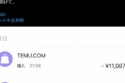 中国の激安通販｢Temu｣を使ったX民､カードを不正利用されて咽び泣く