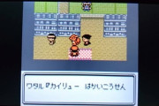 ポケモンバトル ← トレーナーに破壊光線打てばええやん
