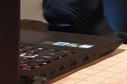 【ねこ画像】ノートPCとねこ、ねこ「入っていいのだろうか・・・」、スマホとねこ ほか【再】