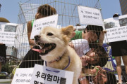 どんなに酷い文化でも数少ない文化は大事にしろよ　～　【韓国】27年に犬食全面禁止の韓国、農場の食用犬46万匹はどうなる？