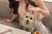 羽賀あかねちん、野中美希ちゃんブログに写真入りで登場