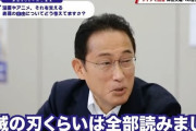 外国人「日本の岸田新首相はアニメや漫画に理解があるらしいぞ！」