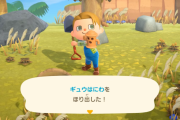 【あつまれどうぶつの森】アプデくるしそろそろ再開しよか