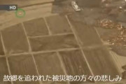 【白い影】結局3.11の空撮写ってためちゃめちゃ早く走る白い影ってなんだったの？　　