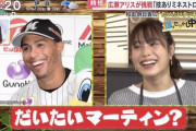 阪神ファンがカープファンにロッテの戦力を申し送る「広瀬アリス(マーティン)に要注意」【プロ野球申し送り事項】