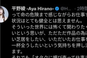 平野綾「アニメの仕事をすると殺害予告されます」←この人なにしたの？