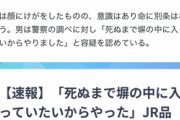 【速報】JR品川駅で突き落とし『死ぬまで塀の中に入っていたいからやった』