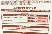 【悲報】ココイチ、ポークカレー　４９３円→５７０円ｗｗｗｗｗｗｗ