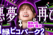 【田村保乃大苦戦!】総挑戦回数47回！無間地獄ピコパーク再び!?【ピコパーク2】
