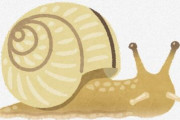 「貝＝カタツムリ」なんだけど、お前ら平然とカタツムリ喰ってるって自覚ある？