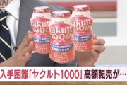 ヤクルト1000流行ってるけどマジで効くんか？どうなん？