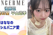 【動画】【アンジュルム】はなな、シルバニアファミリーについて語る