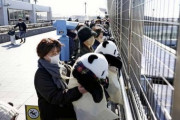 【画像】「シャンシャン」の見送りをするため、ぬいぐるみを手に成田空港展望デッキに集まった人たち