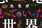 【悲報】Z世代三人組、総額1億円もする恐竜のモニュメントを破壊する