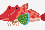【画像】モスラみたいな魚見つかるｗｗｗｗｗｗｗｗｗｗｗ