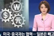 米国・中国とは通貨スワップ協力…日本は除外？＝韓国の反応