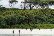 【驚愕】センチネル島の住人、六万年外界と接触してない可能性が浮上
