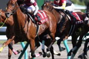 【競馬】ダーレー・ジャパンが微妙馬大量製造牧場と化しているんだが…