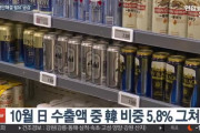 日本がダメージ大きいなら韓国的には問題ないんじゃね？　～　【韓国】 貿易ブーメランで大打撃の日本「懸案解決努力の必要性に共感」
