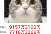 ワイ人間「ハアハアやっと10年で3000万稼いだぞ‥ん？」?「にゃ～ん」
