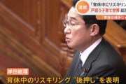 【速報】岸田首相、『育休中のリスキリング』発言に釈明「強制ではない」