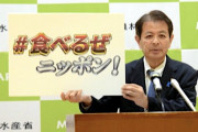 【悲報】政府「日本の水産物がヤバイ！ホタテ1人5粒食べて！」 →批判殺到「高くて買えない」「これが対策？アホとしか」